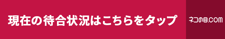 現在の待合状況はこちらをタップ ネコの目.com